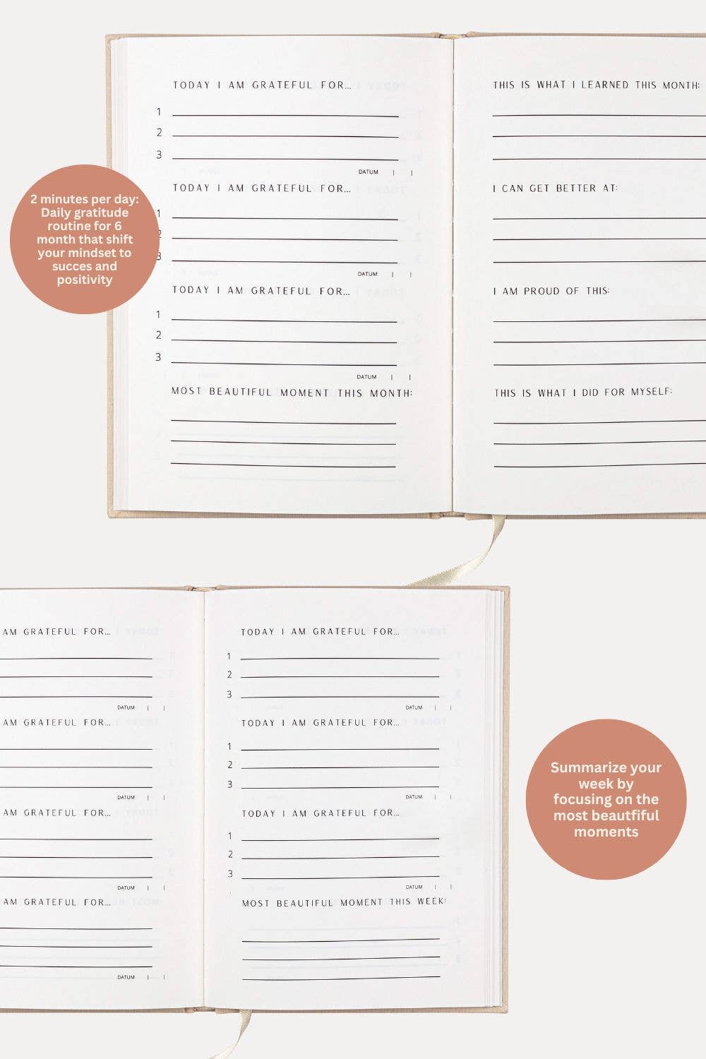 The Gratitude Journal